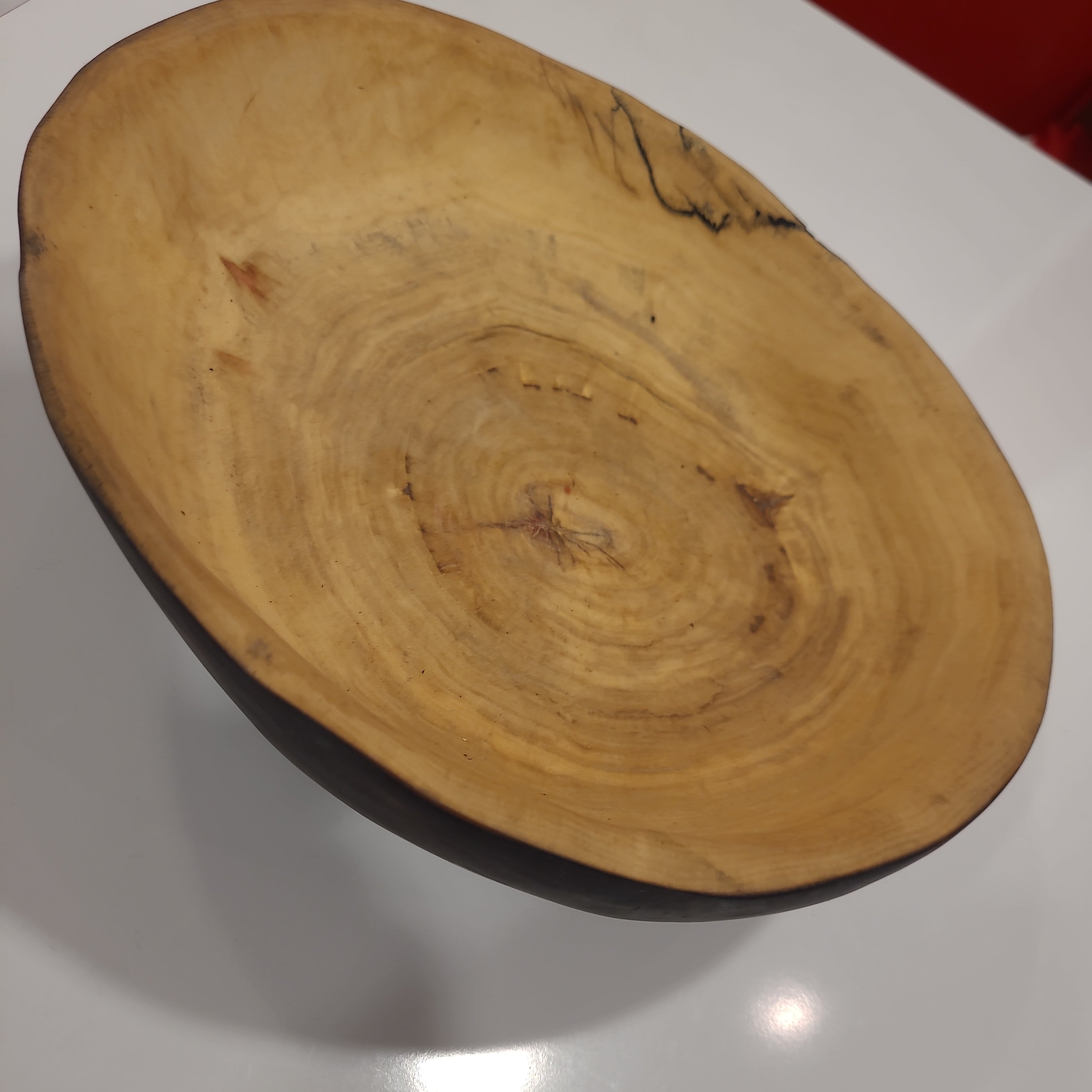Bent into shape large maple with black bowl