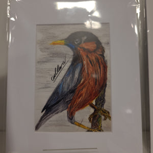 Callan's Art - artwork